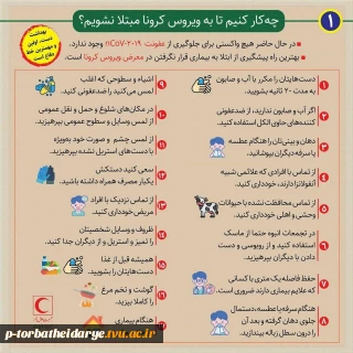همه چیز درباره کرونا 