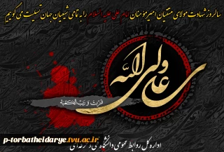 سالروز شهادت مولای متقیان امیرمؤمنان امام علی علیه السلام را تسلیت می گوییم